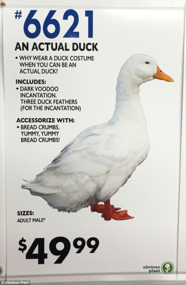 memes - fake halloween costumes - 6621 An Actual Duck Why Wear A Duck Costume When You Can Be An Actual Duck? Includes Dark Voodoo Incantation. Three Duck Feathers For The Incantation Accessorize With Bread Crumbs. Yummy, Yummy Bread Crumbs! Sizes Adult M