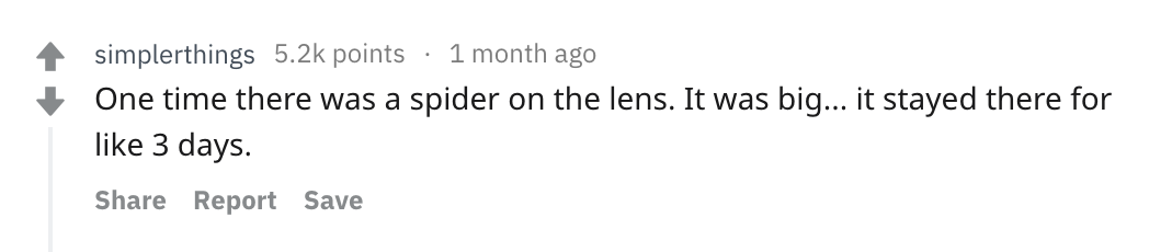 reddit story - handwriting - simplerthings points 1 month ago One time there was a spider on the lens. It was big... it stayed there for 3 days. Report Save