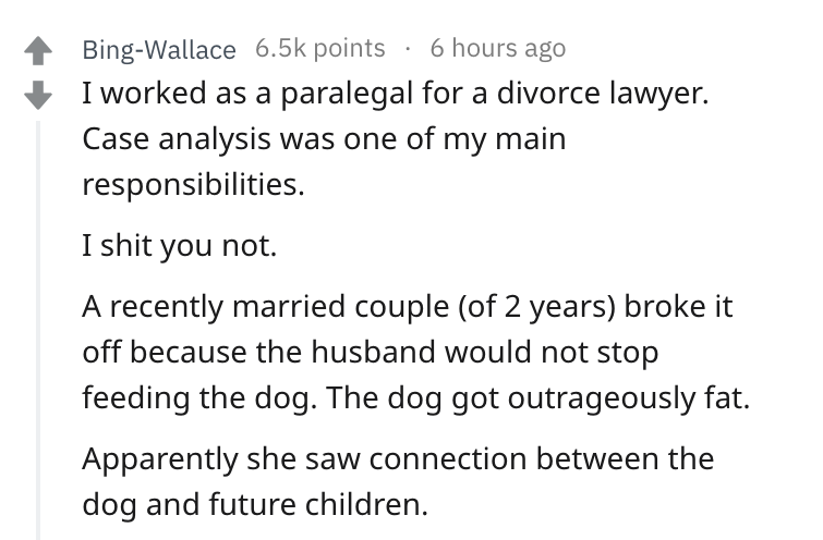 angle - BingWallace points 6 hours ago I worked as a paralegal for a divorce lawyer. Case analysis was one of my main responsibilities. I shit you not. A recently married couple of 2 years broke it off because the husband would not stop feeding the dog. T