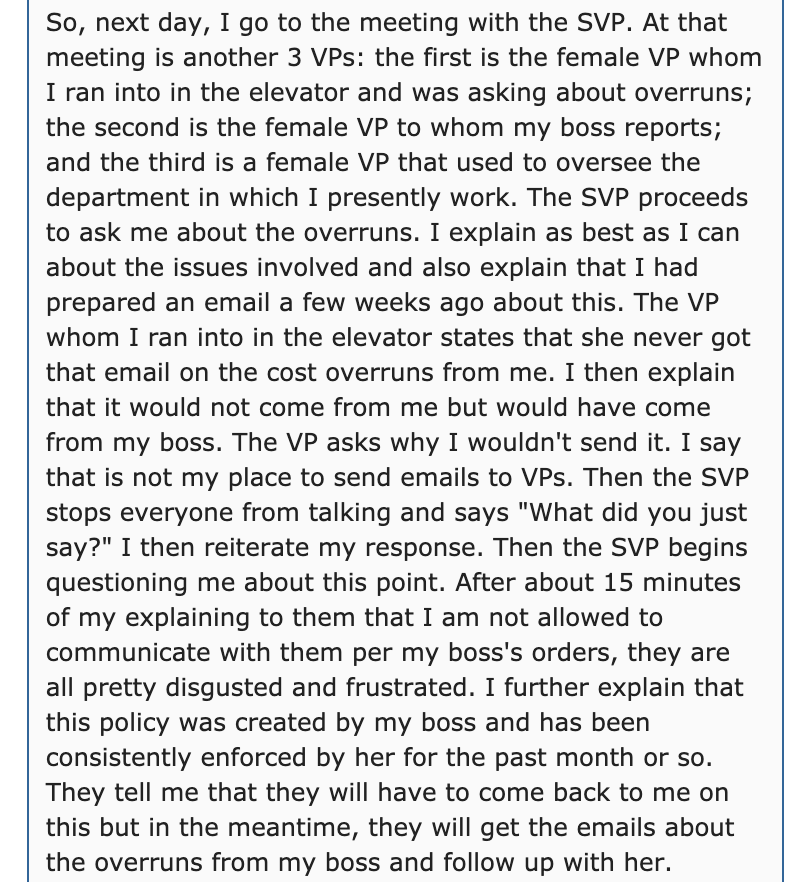 document - So, next day, I go to the meeting with the Svp. At that meeting is another 3 VPs the first is the female Vp whom I ran into in the elevator and was asking about overruns; the second is the female Vp to whom my boss reports; and the third is a f