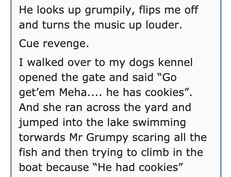 quotes - He looks up grumpily, flips me off and turns the music up louder. Cue revenge. I walked over to my dogs kennel opened the gate and said "Go get'em Meha.... he has cookies". And she ran across the yard and jumped into the lake swimming torwards Mr
