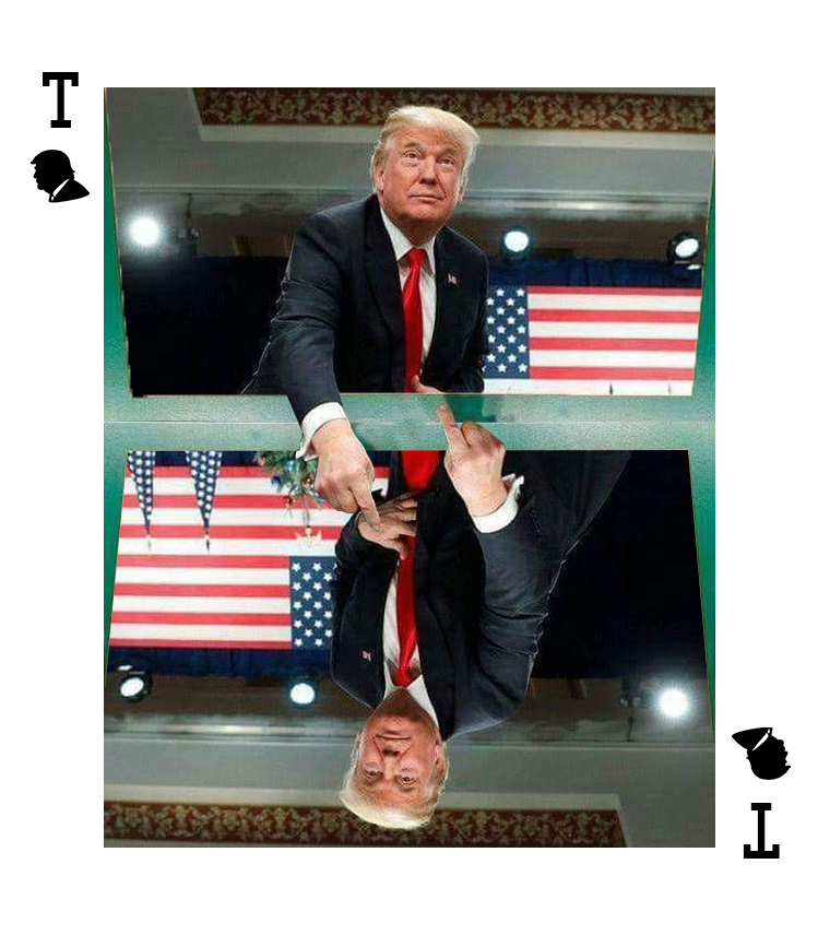 decided to make trump kind off like a king or queen from a cardgame