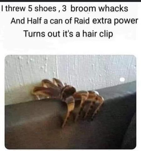 Mind Numbing Depravity - hair clip memes - I threw 5 shoes, 3 broom whacks And Half a can of Raid extra power Turns out it's a hair clip