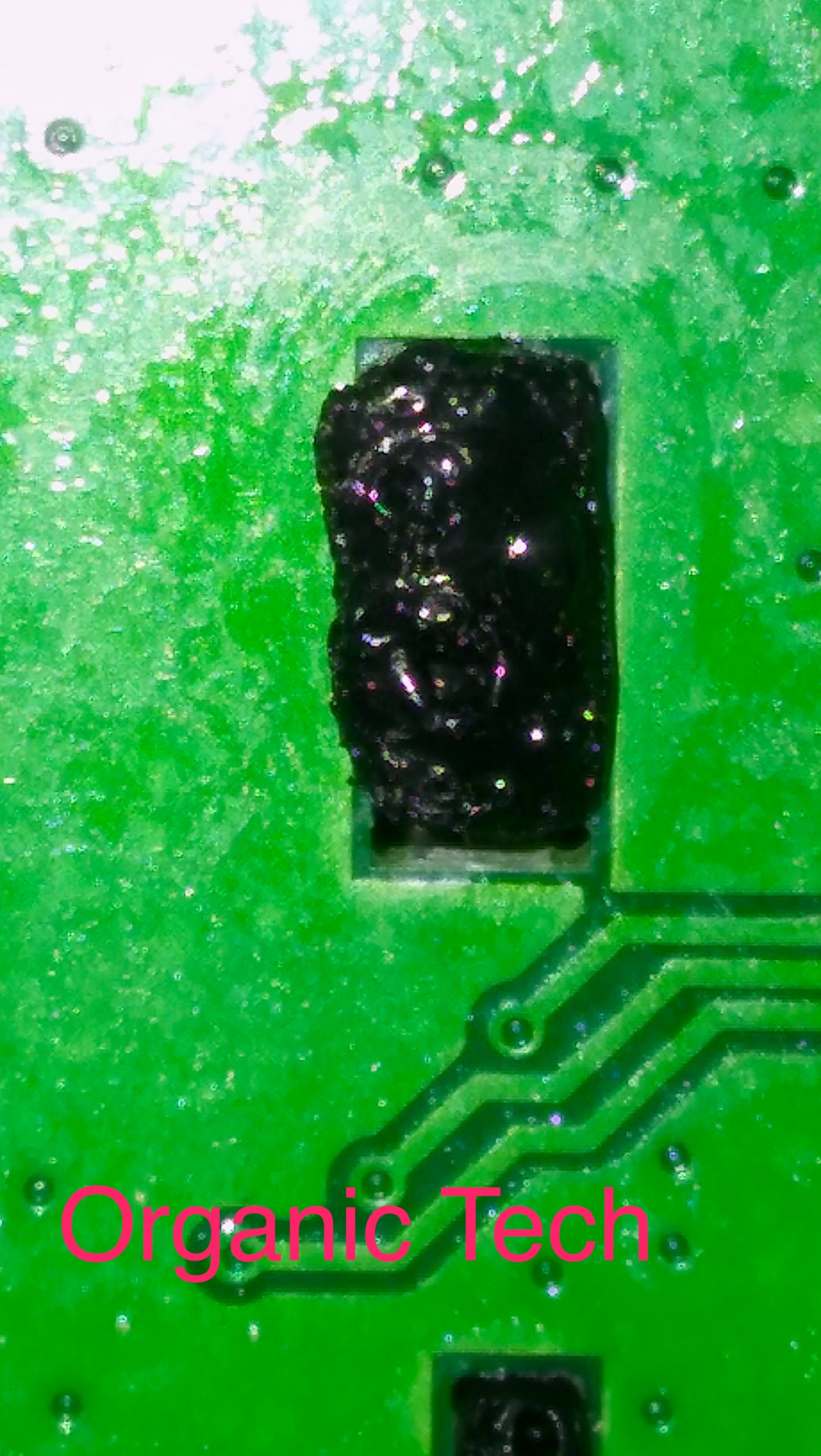 Zoom shot of substance on speaker tower circuit board.  Looks like black caviar but is rock hard.  When filmed appears to be moving.  Difficult to focus as seems to reflect lots of little lights.