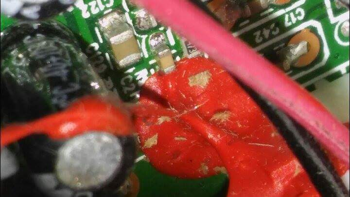 'Head' of red 'lizard' attached to circuit board.  Felt it was a living thing.