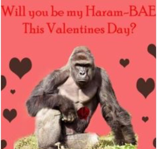 kid that fell into gorilla cage - Will you be my HaramBae This Valentines Day?