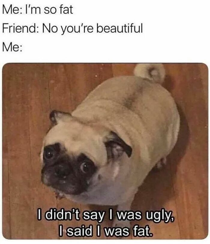 didn t say i was ugly - Me I'm so fat Friend No you're beautiful Me I didn't say I was ugly, I said I was fat.