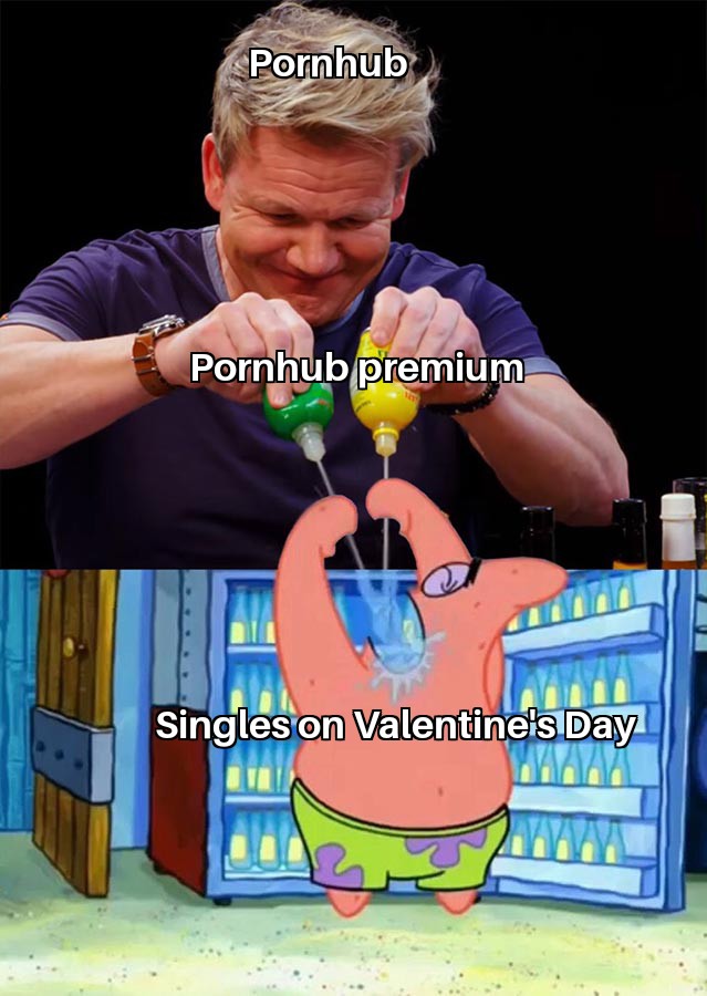 gordon ramsay patrick star memes - Pornhub Pornhub premium Singles on Valentine's Day