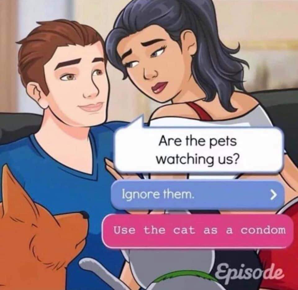 episode use the cat as a condom - Are the pets watching us? Ignore them. Use the cat as a condom Episode