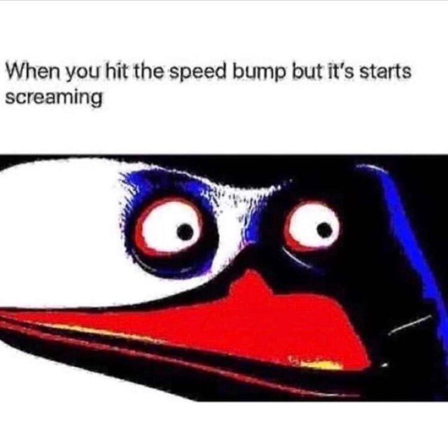 meme A funny meme about hitting a speed bump that is savage and offensive.