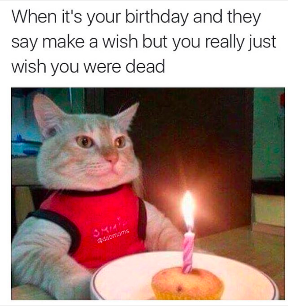savage dank Happy Birthday meme with a cat.