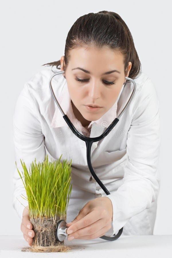 A very strange stock photo of a doctor holding a stethoscope on a section of grass. 