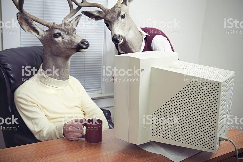 A weird stock photo of two deer looking at a computer with one of them holding a coffee mug. 
