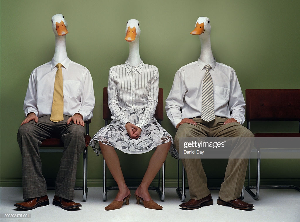 A weird WTF stock photo of people wearing business attire with duck heads. 