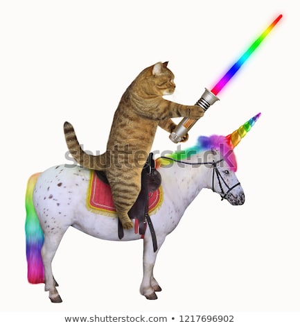 A WTF stock photo of a cat with a rainbow light saber riding on a rainbow unicorn. 