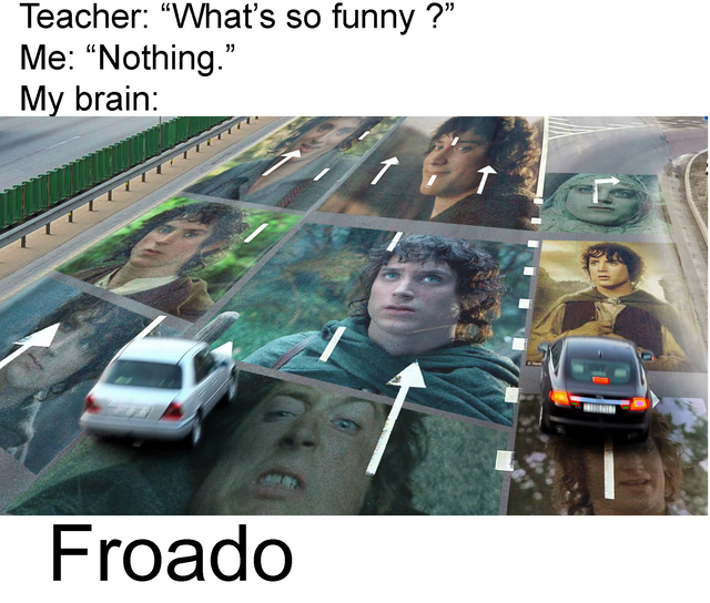 HIlarious Frodo LOTR meme calling him Froado