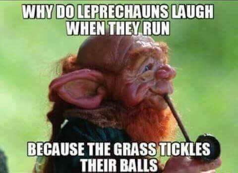 st paddy's day meme - Why Do Leprechauns Laugh When They Run Because The Grass Tickles Their Balls
