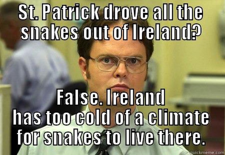st patricks day memes - St. Patrick drove all the Snakes out of Ireland? False. Ireland has too cold of a climate for snakes to live there. Quickmeme.com