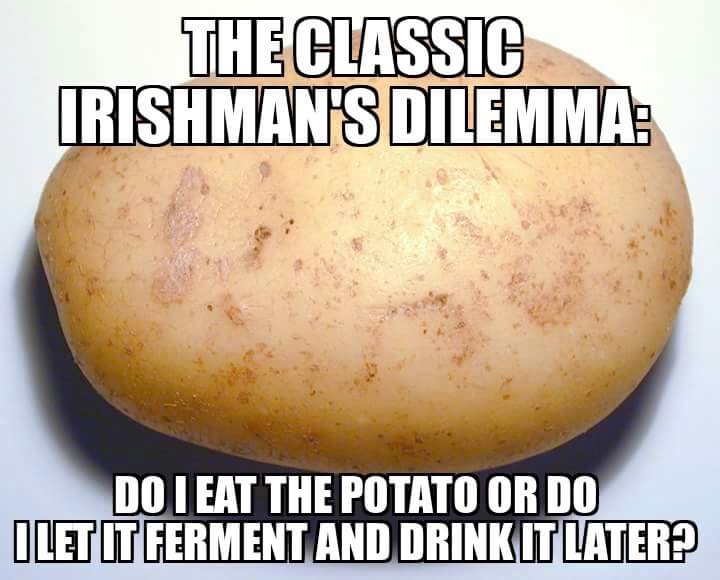 st patrick potato meme - The Classic Irishman'S Dilemma Do I Eat The Potato Or Do Ilet It Ferment And Drinkit Later?