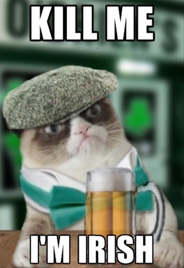 irish grumpy cat - Kill Me I'M Irish