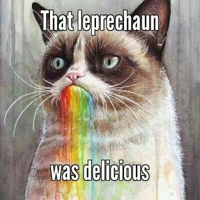funny st patrick's day memes - That leprechaun was delicious