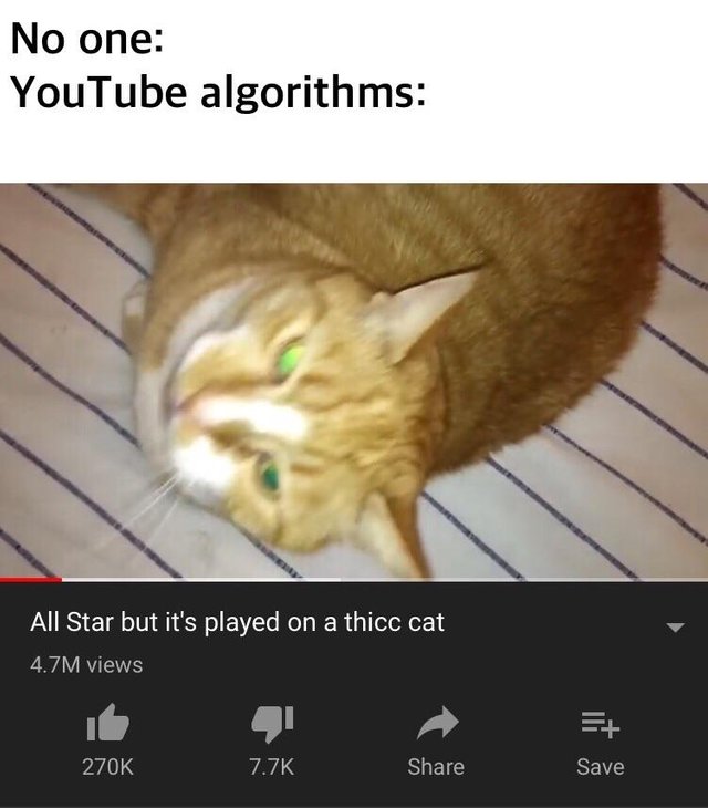 meme Dank meme that says 'no one: Youtube Algorithms:' and a screenshot of a youtube video that has a cat and the title All Star but it's played on a three cat'