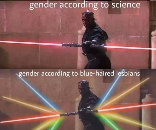 meme Dank meme of Star Wars with the text 'gender according to science, gender according to blue-haired lesbians'