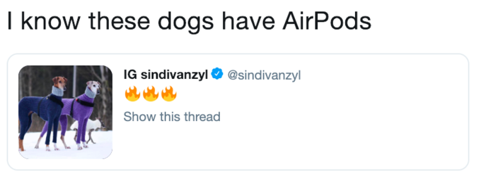 Funny Apple AirPod meme with fancy looking dogs