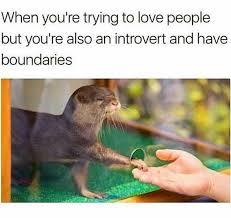 Cute wholesome meme about relationships and being an introvert