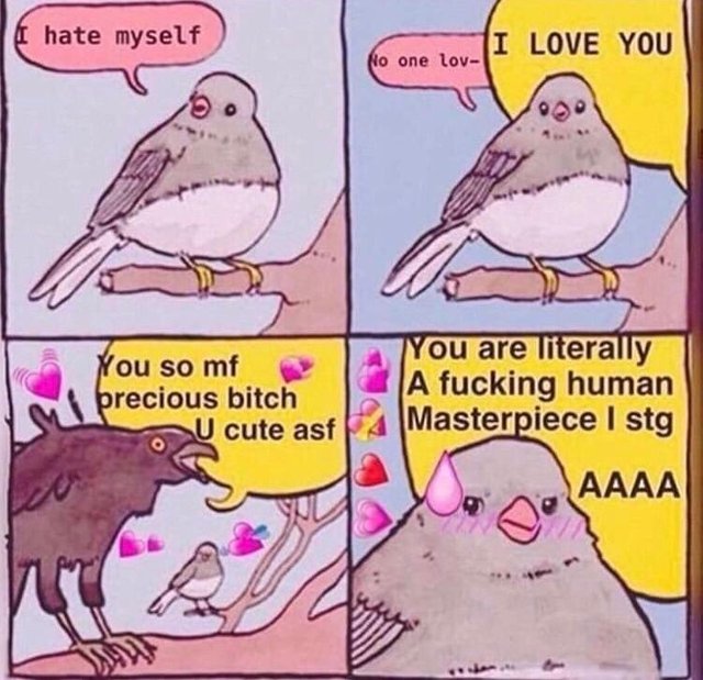 Funny bird meme about love that is very wholesome