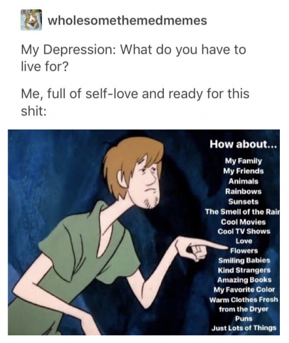 A wholesome meme about depression with Shaggy from Scooby Doo