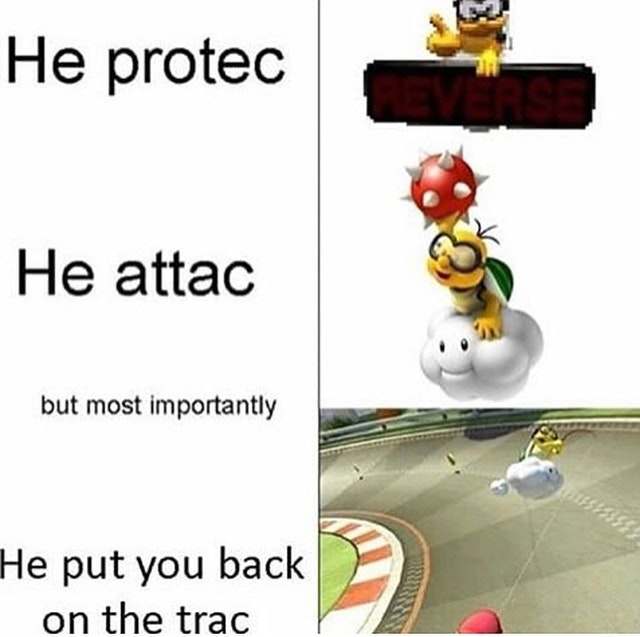 Wholesome meme with Lakitu from Mario and Mario Kart in the protec, attac format