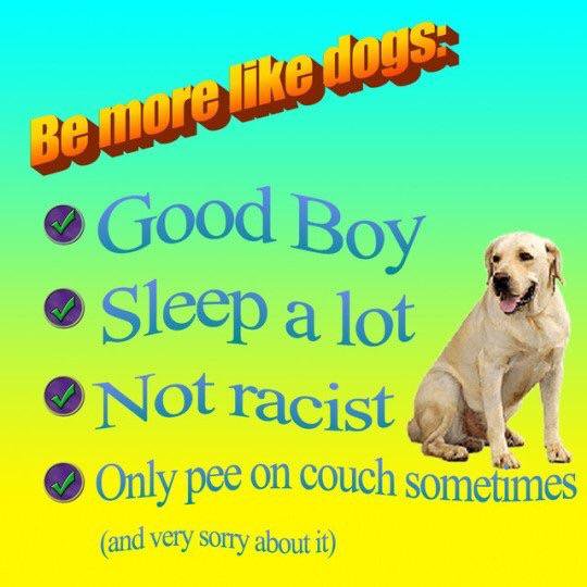 Be more like dogs wholesome meme