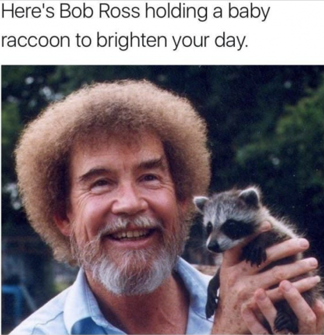 Bob Ross holding a baby raccoon - wholesome meme