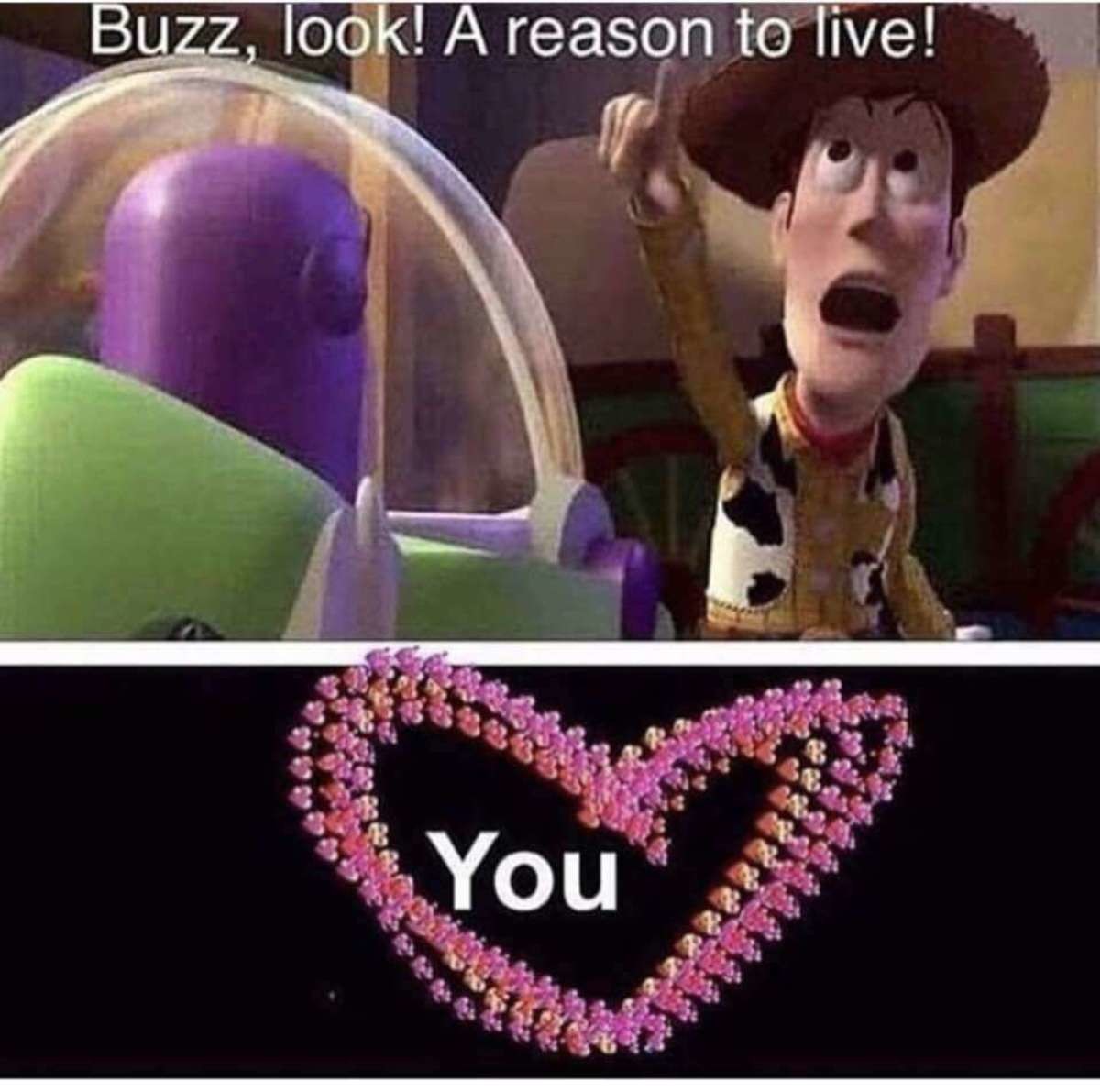 Buzz, look! A reason to live! Wholesome Meme