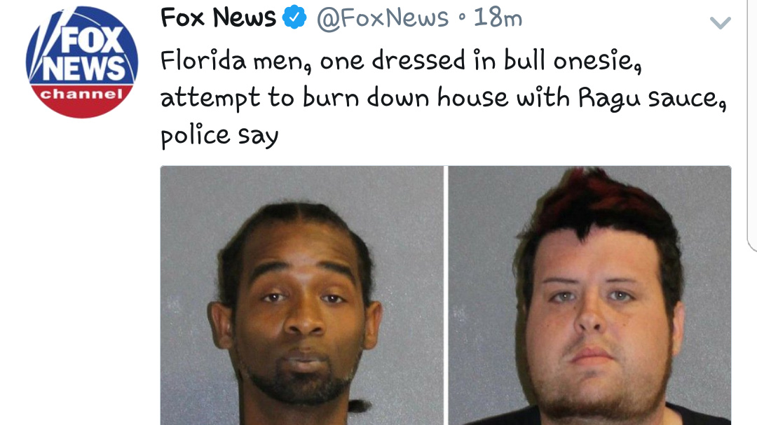 Florida men attempt to burn down house with ragu sauce headline