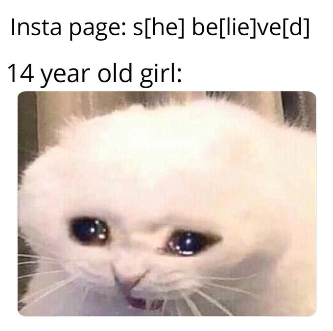 She believed he lied meme with a cat and a caption about a 14-year-old girl