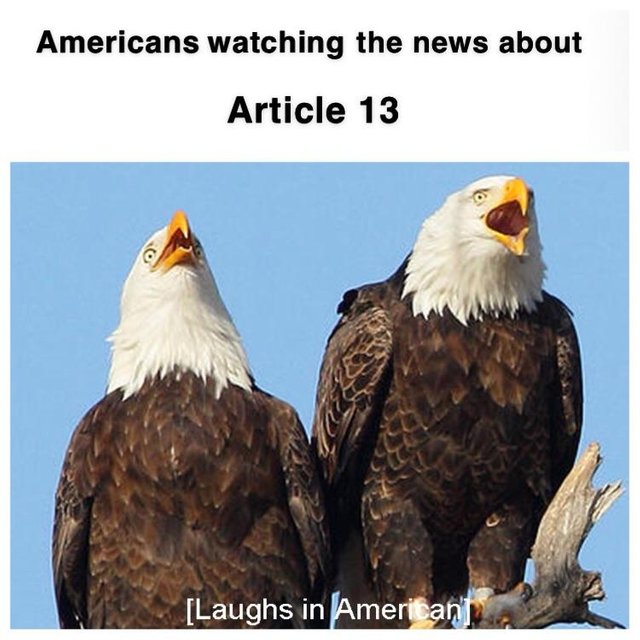 EU Article 13 meme with bald eagles laughing in American with a caption 'Americans watching the news about Article 13'