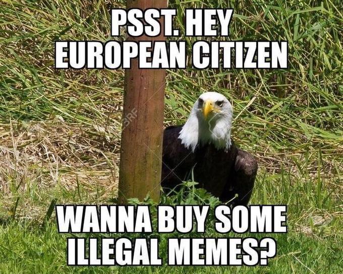 Article 13 meme - Bald Eagle hiding with a caption, ' PSSST. Hey European Citizen Wanna Buy Some Illegal Memes?'