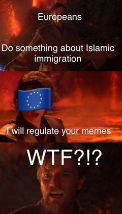 Europeans Do something about Islamic Immigration I will regulate your memes WTF Article 13 Star Wars meme