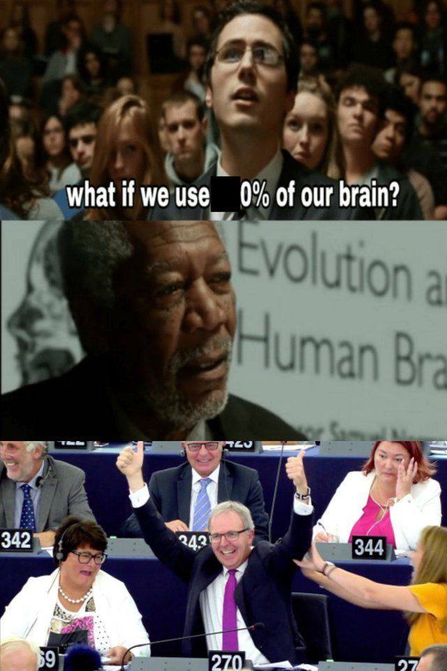 dank memes if we used 100 of our brain meme - what if we use 0% of our brain? Evolution a Human Bra Lu 342 242 344 270