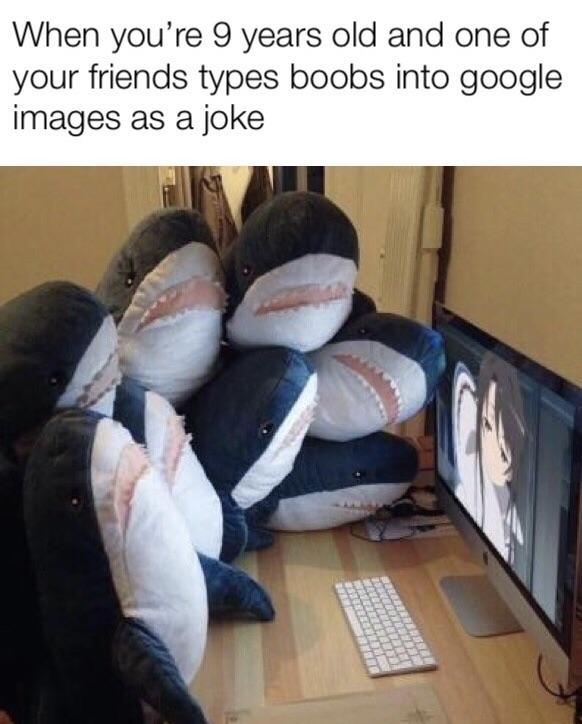 dank meme - mashiro haifuri - When you're 9 years old and one of your friends types boobs into google images as a joke