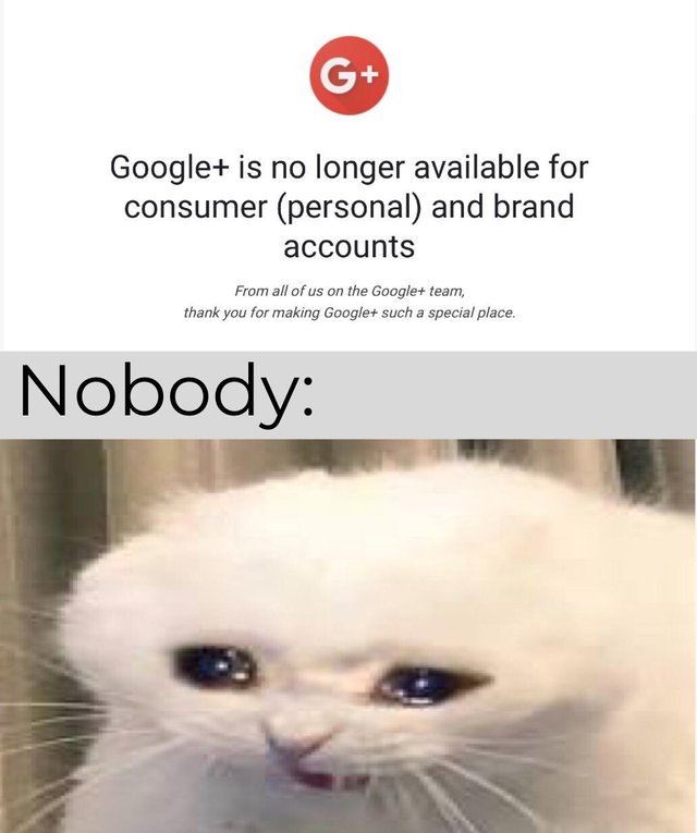dank meme - Google is no longer available for consumer personal and brand accounts From all of us on the Google team, thank you for making Google such a special place. Nobody