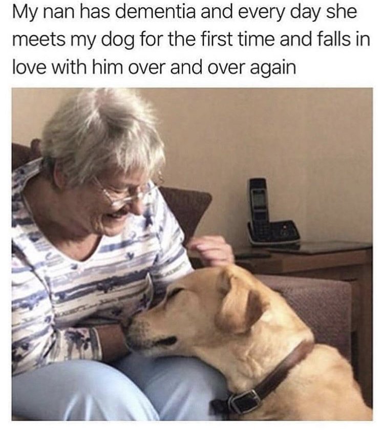 wholesome meme wholesome memes - My nan has dementia and every day she meets my dog for the first time and falls in love with him over and over again