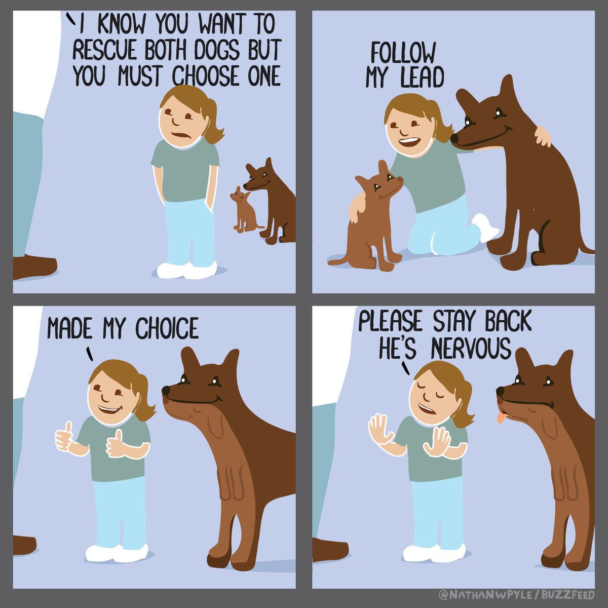 wholesome meme nathan pyle comics - Know You Want To Rescue Both Dogs But You Must Choose One My Lead Made My Choice Please Stay Back He'S Nervous Buzzfeed,