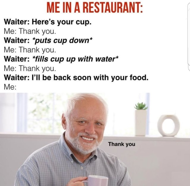 wholesome meme Me In A Restaurant Waiter Here's your cup Me Thank you. Waiter puts cup down Me Thank you. Waiter fills cup up with water Me Thank you. Waiter I'll be back soon with your food. Me Thank you