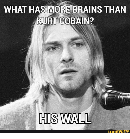 Kurt Cobain meme with the caption, "What has more brains that Kurt Cobain?" "His Wall"