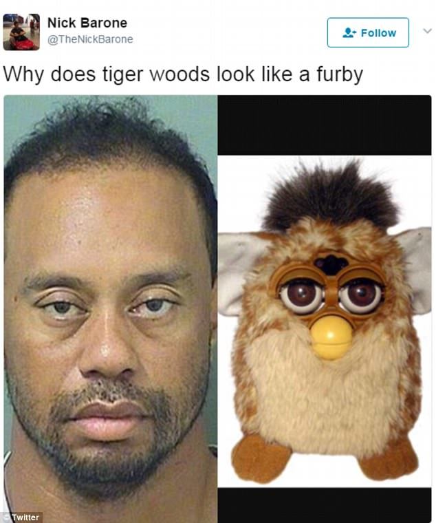 Tiger Woods meme where he is compared to a furby.