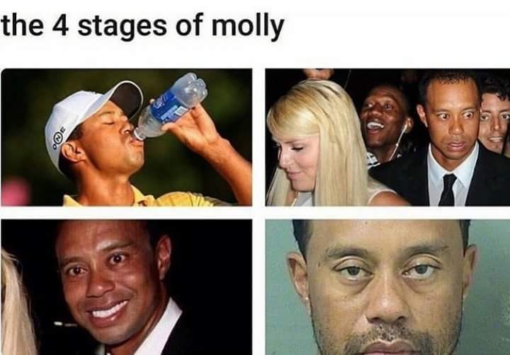 The 4 stages of molly - Tiger Woods memes.