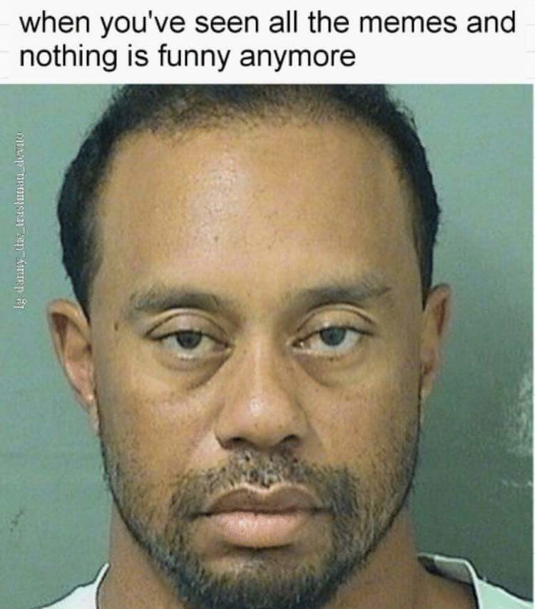 When you've seen all the memes and nothing is funny anymore - Tiger Woods memes.
